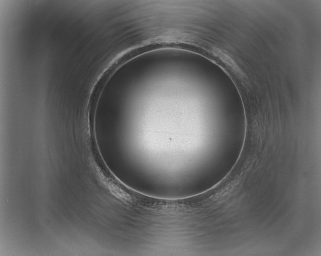 X0000076400934200610061213