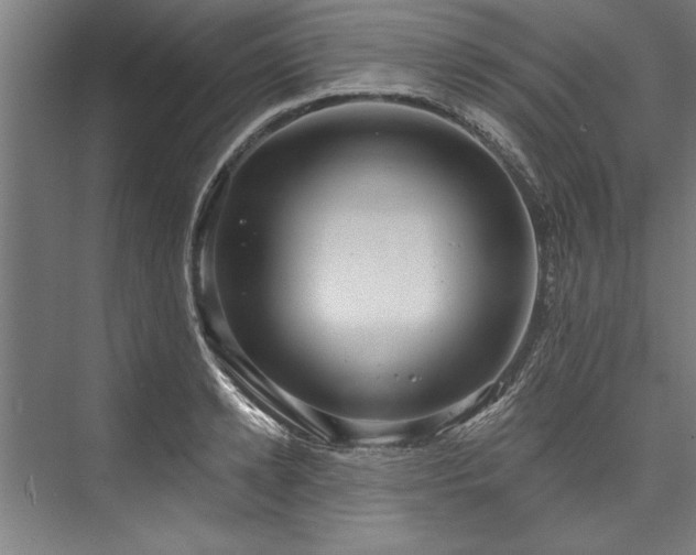 X0000076400942200610061213