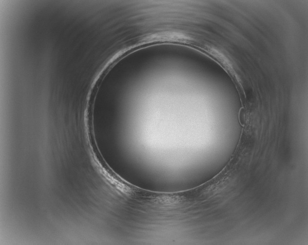 X0000076400947200610061213