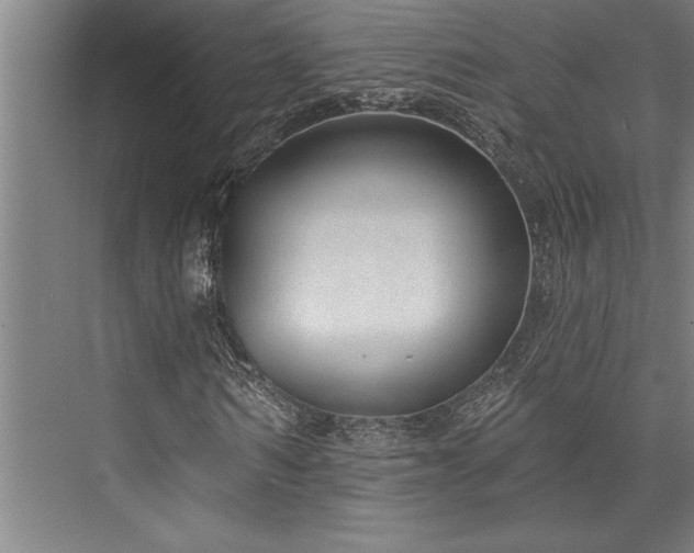 X0000076400962200610061212