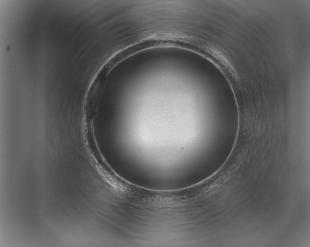 X0000076400976200610061212