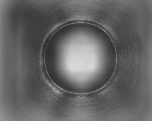 X0000076400982200610061212
