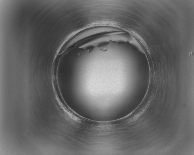 X0000076400989200610061212