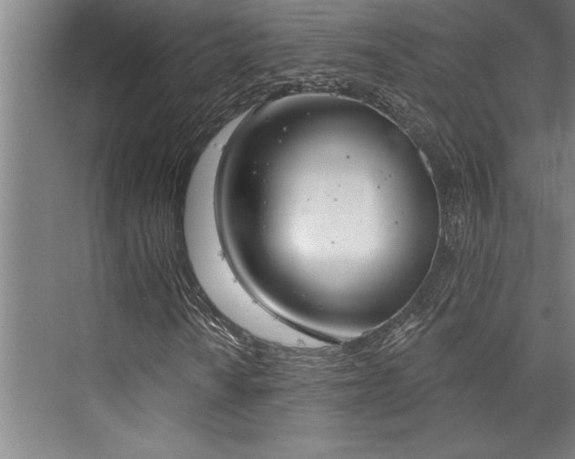 X0000076401010200610061211