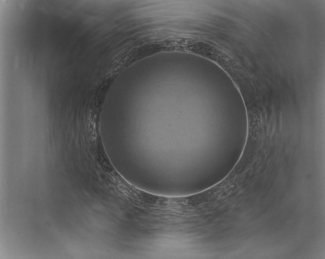 X0000076401013200610061211