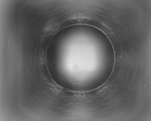 X0000076401014200610061211