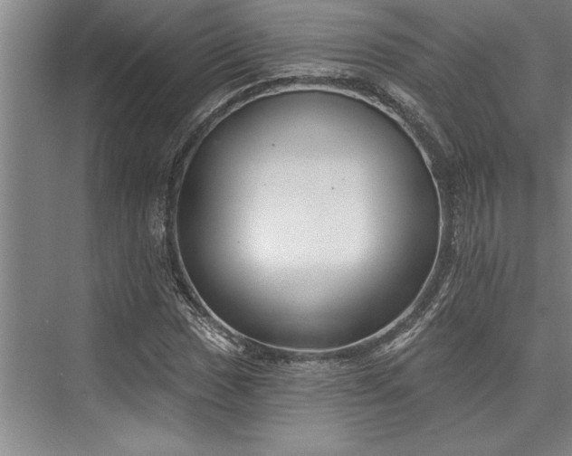 X0000076401017200610061211