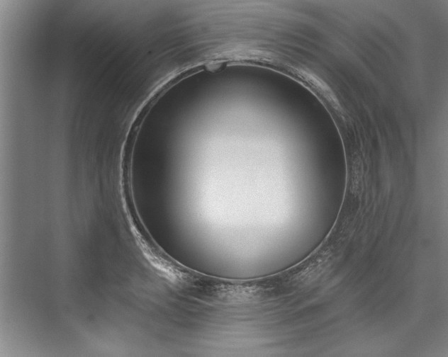 X0000076401039200610061211