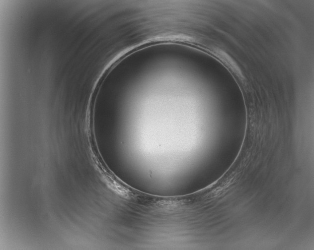 X0000076401044200610061211