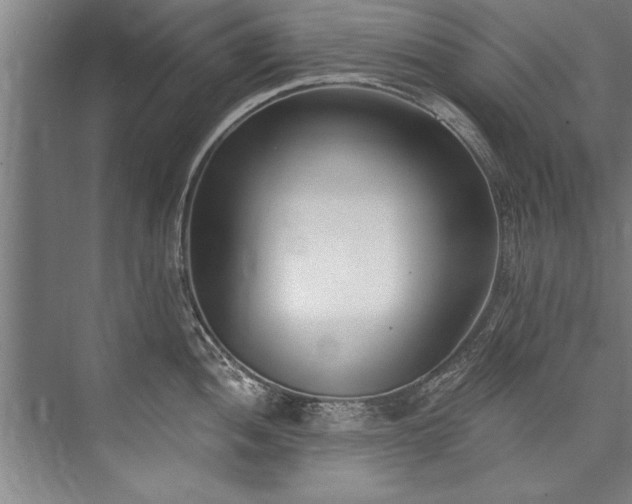 X0000076401052200610061211