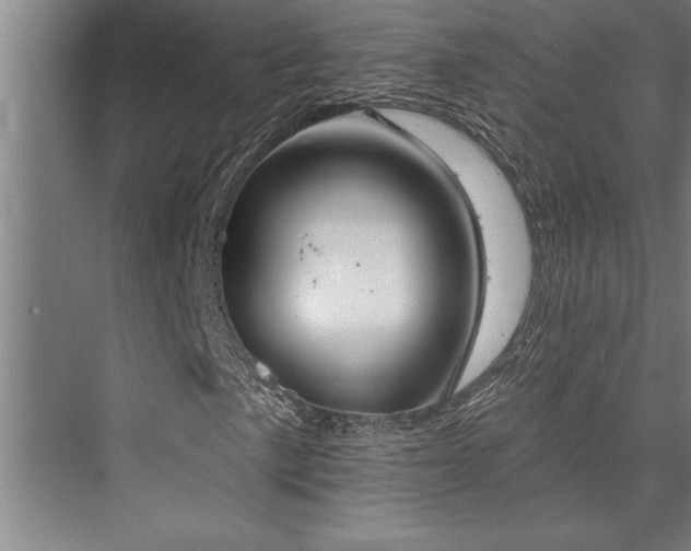 X0000076401057200610061211