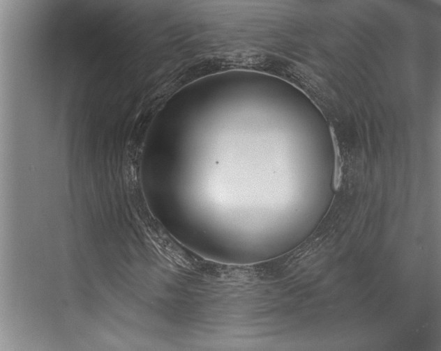 X0000076401058200610061211