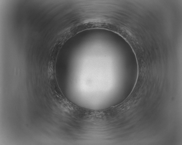 X0000076401062200610061211