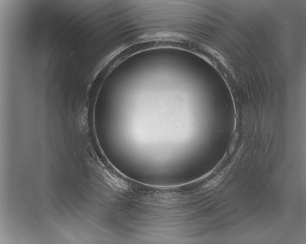 X0000076401066200610061211