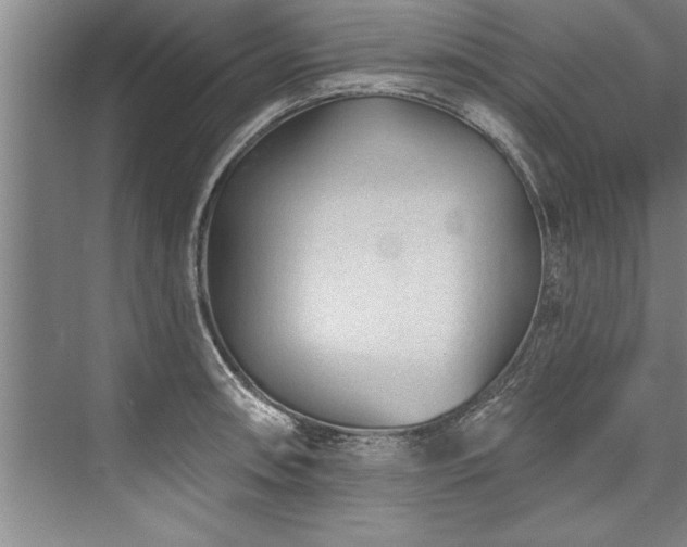 X0000076401090200610061210