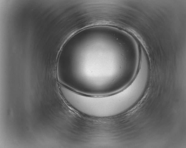 X0000076401097200610061210