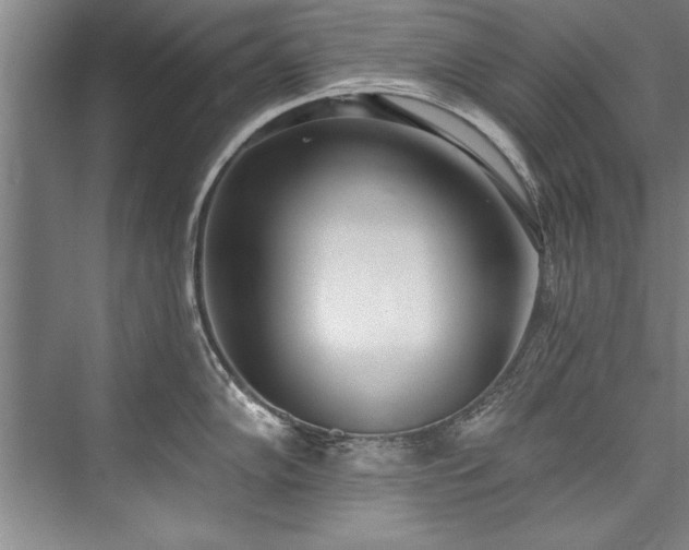 X0000076401102200610061210