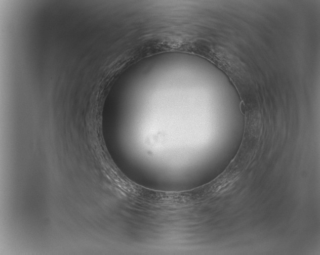 X0000076401105200610061209