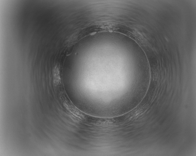 X0000076401106200610061209