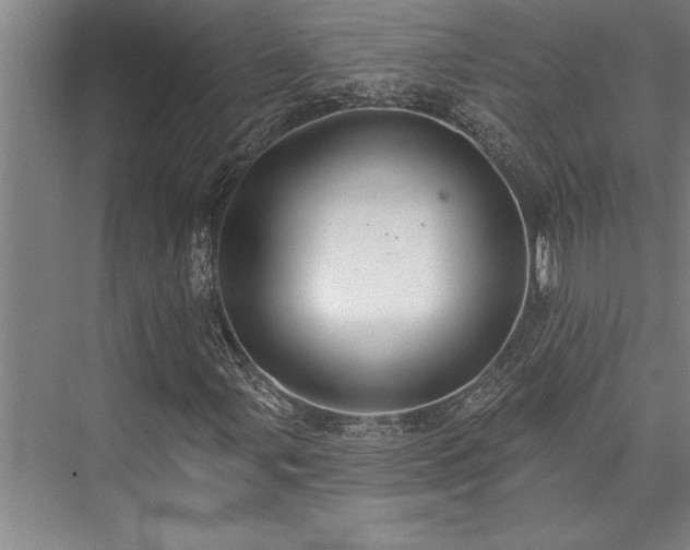 X0000076401107200610061209
