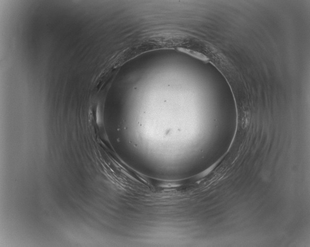 X0000076401108200610061209