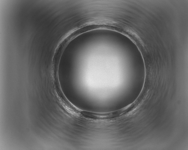 X0000076401114200610061209