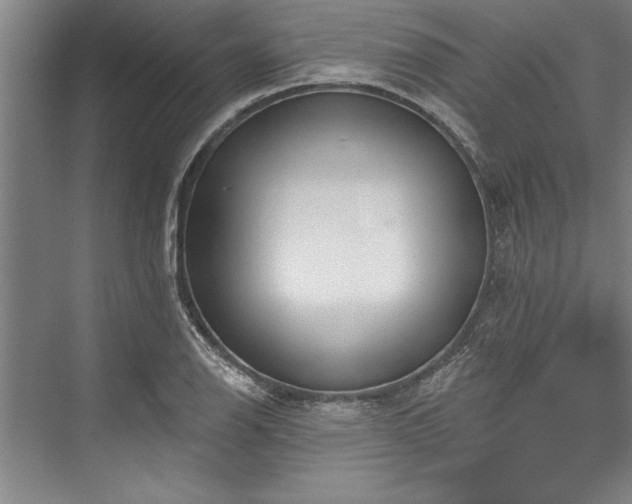 X0000076401126200610061209
