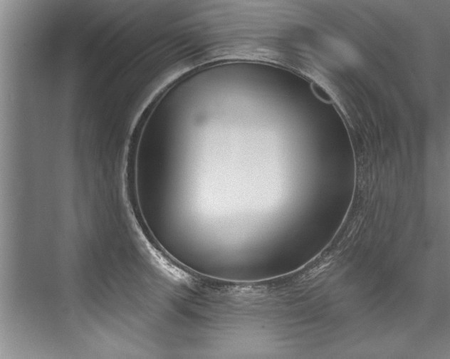 X0000076401139200610061210