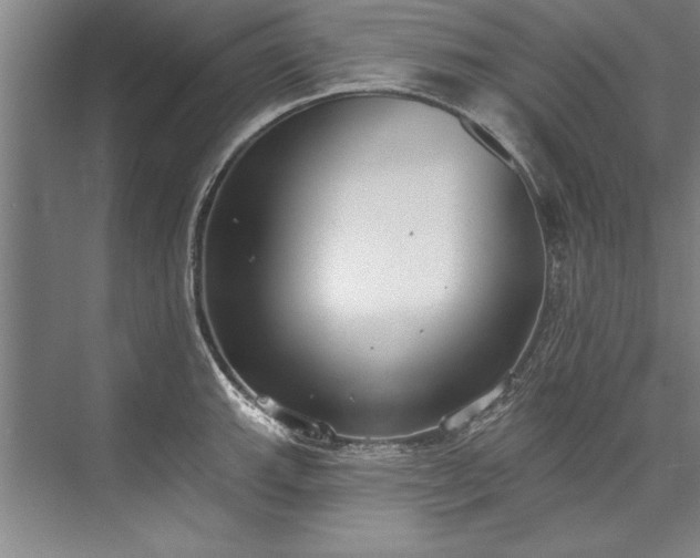 X0000076401143200610061210