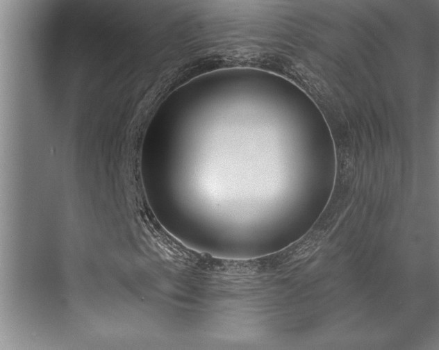X0000076401153200610061209