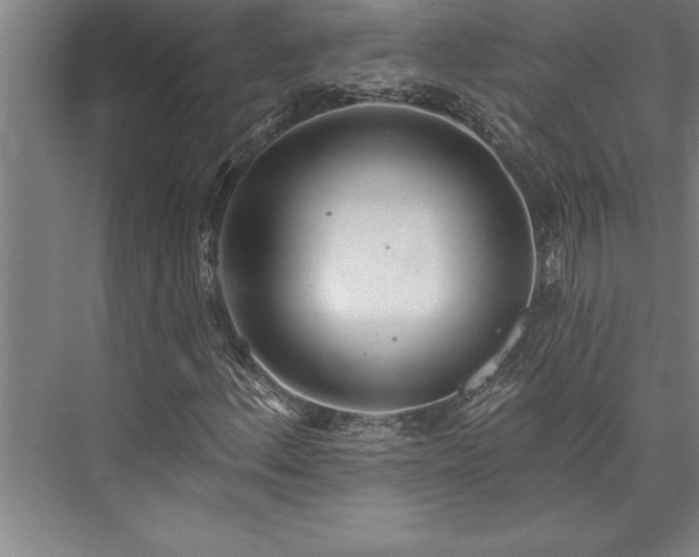 X0000076401156200610061209