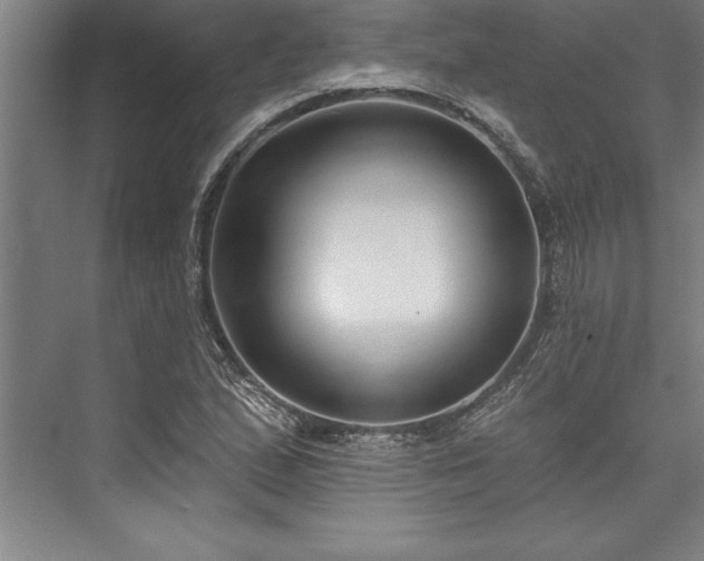 X0000076401167200610061209