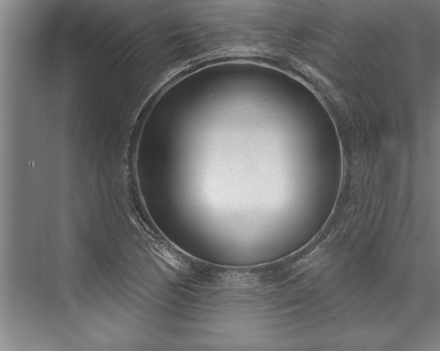 X0000076401170200610061209