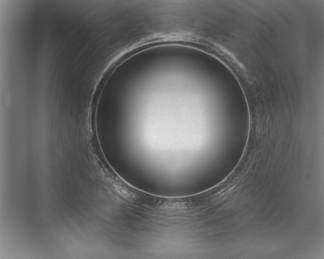 X0000076401174200610061209
