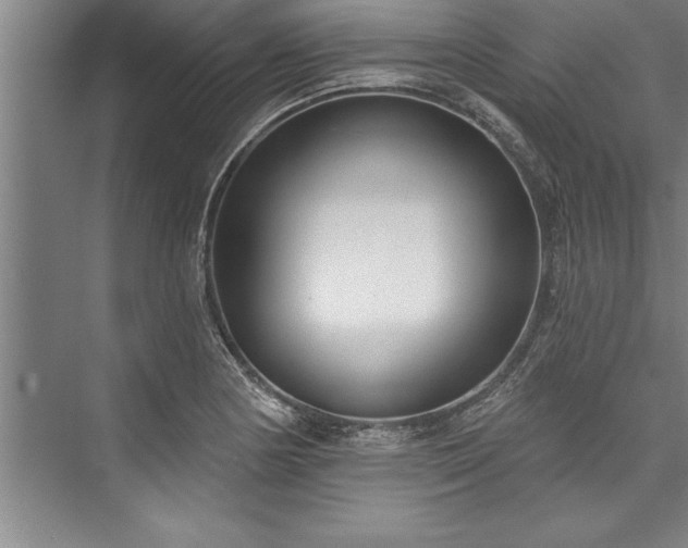 X0000076401178200610061209
