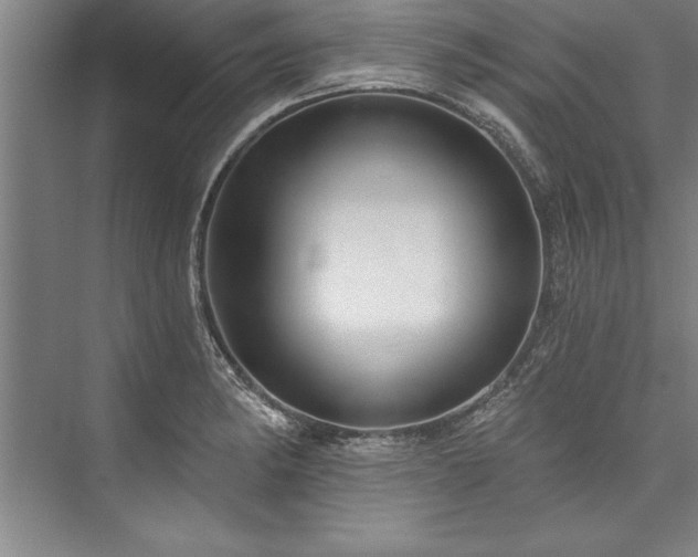 X0000076401182200610061209
