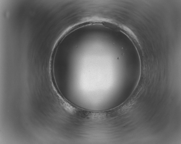 X0000076401183200610061209