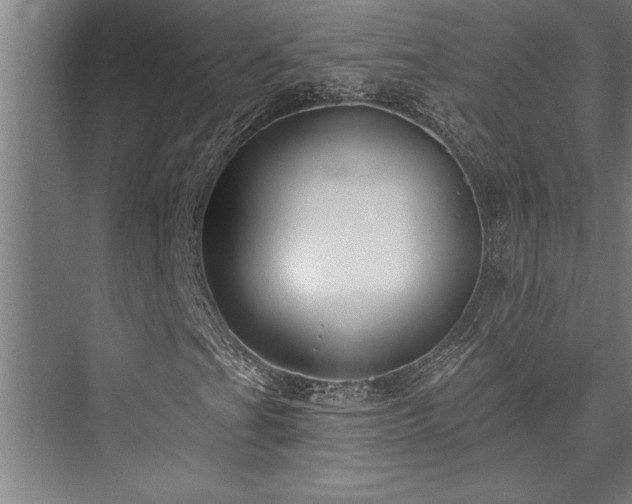 X0000076401201200610061208