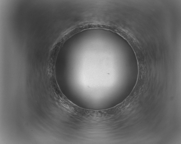 X0000076401207200610061208