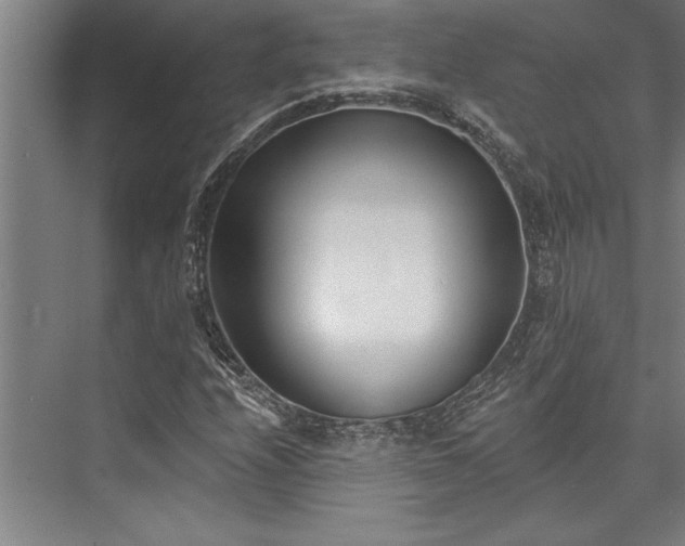 X0000076401208200610061208