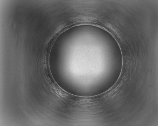 X0000076401211200610061208