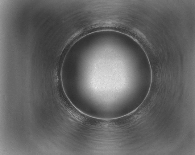 X0000076401218200610061208