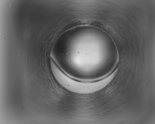 X0000076401249200610061207