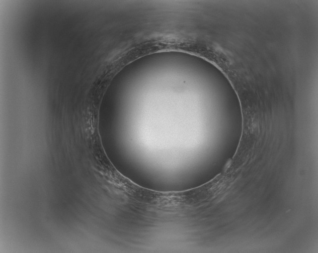 X0000076401253200610061207