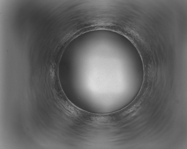 X0000076401257200610061207