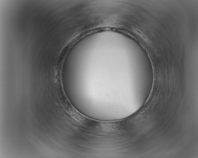 X0000076401258200610061207