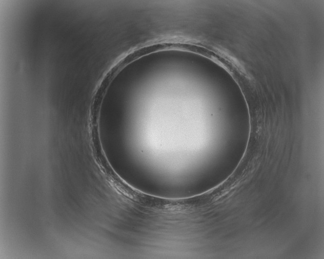 X0000076401264200610061207