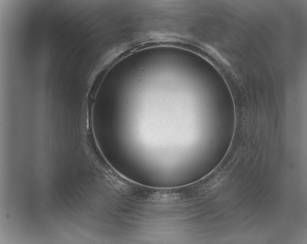 X0000076401269200610061207