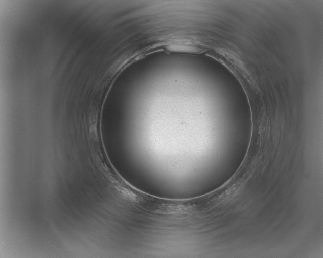 X0000076401273200610061207