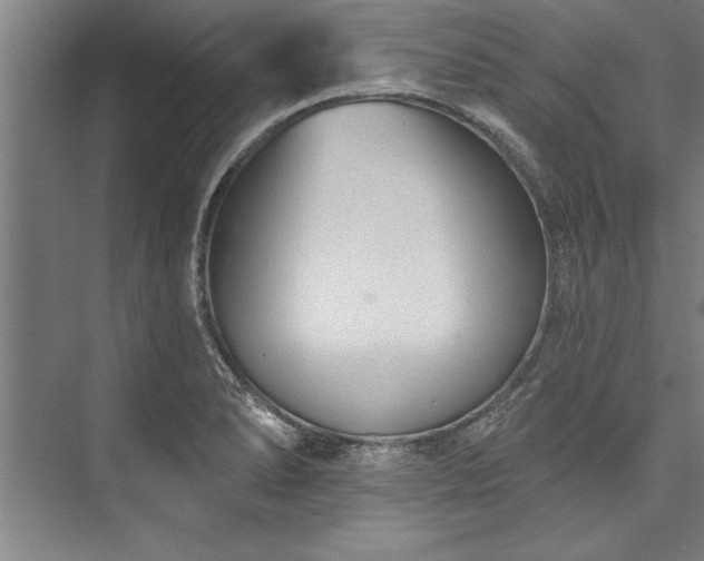 X0000076401278200610061207